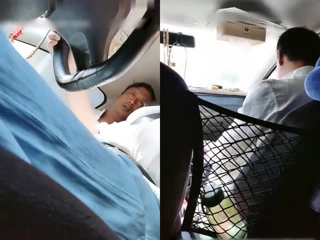 坐标天津少妇,小B插跳蛋驾校学车