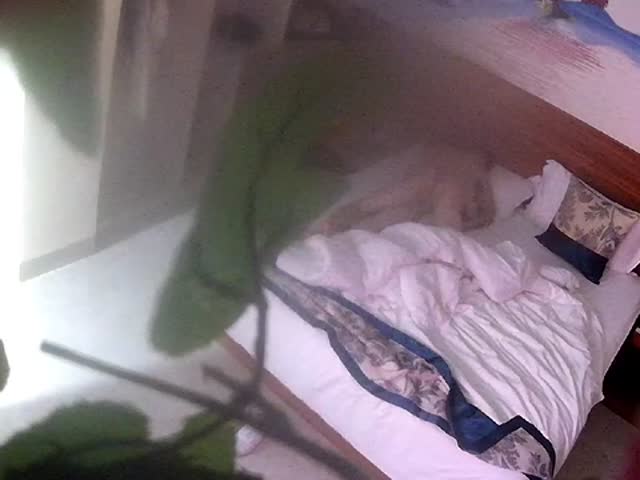 新流出情趣酒店花草房偷拍