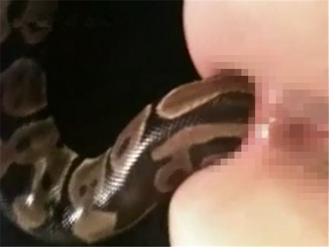 慎入!蟒蛇女后入!