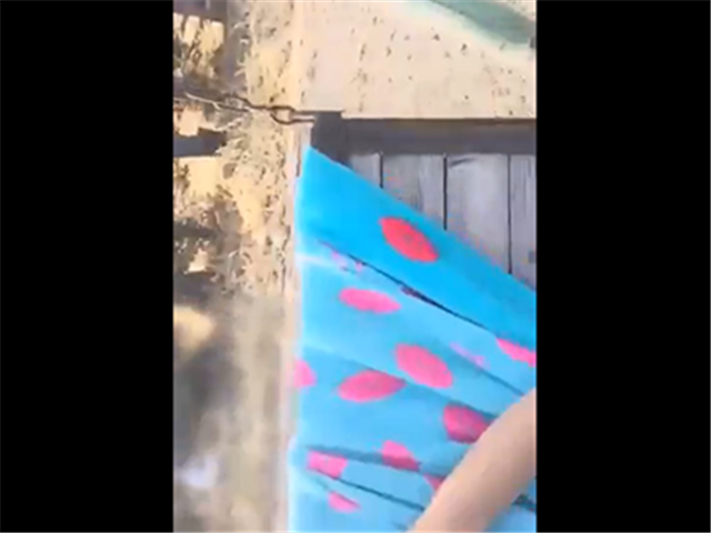 征服司机,秋千上野战