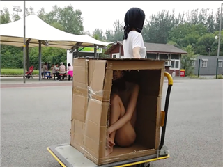 Ariel全裸公园穿行-侧漏箱系列