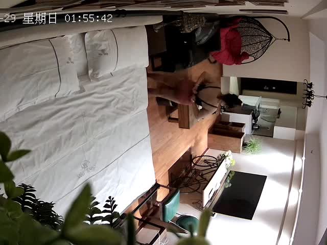 健壮哥和兄弟媳妇开房偷情