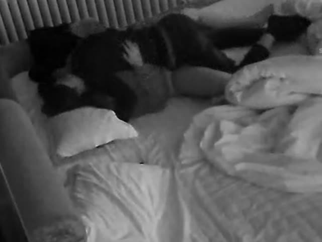 2022芭比龙酒店秘️泄密2