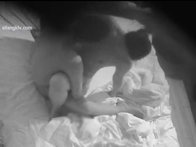 乐橙酒店偷拍,年轻情侣开房妹子撑着腰让小哥往上插逼