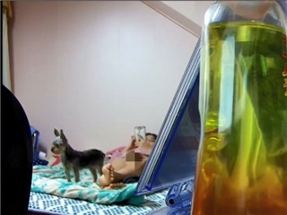 家庭网路摄像头破解-年轻小夫妻激情造爱妹子叫声太给力了