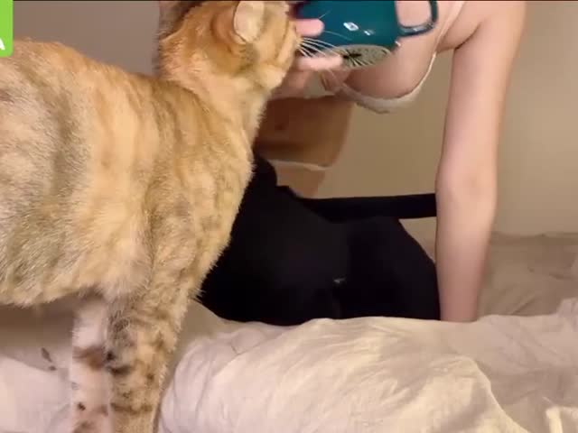 网红脸女神【grandeeney】5