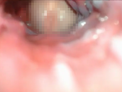 进入阴道里,内射画面