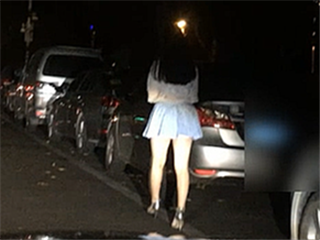 秦先生第十二部-野战陌生女神